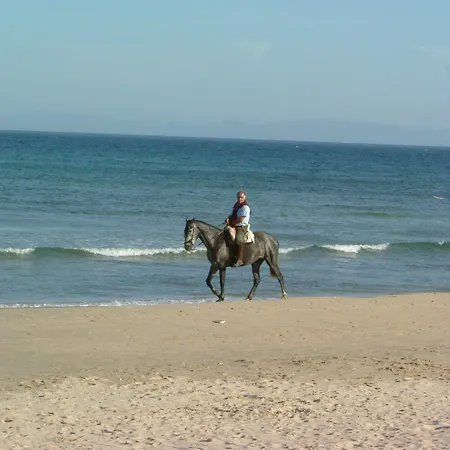 Chillout Tres Mares 2*